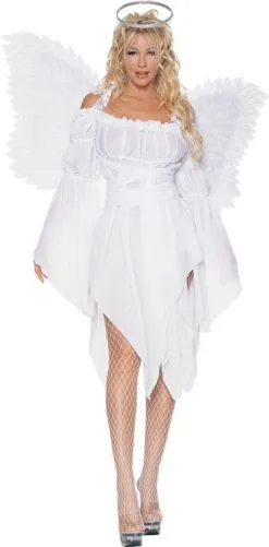 Chiffon Angel Adult Costume