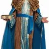 Sapphire Wiseman Adult Costume