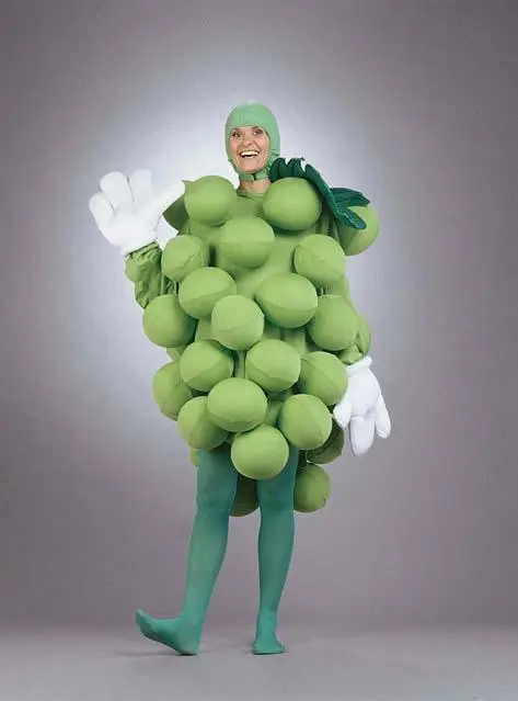 Green Grapes Adult Costume 1 Green Grapes Adult Costume