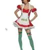 Strawberry Shortcake Adult Costume